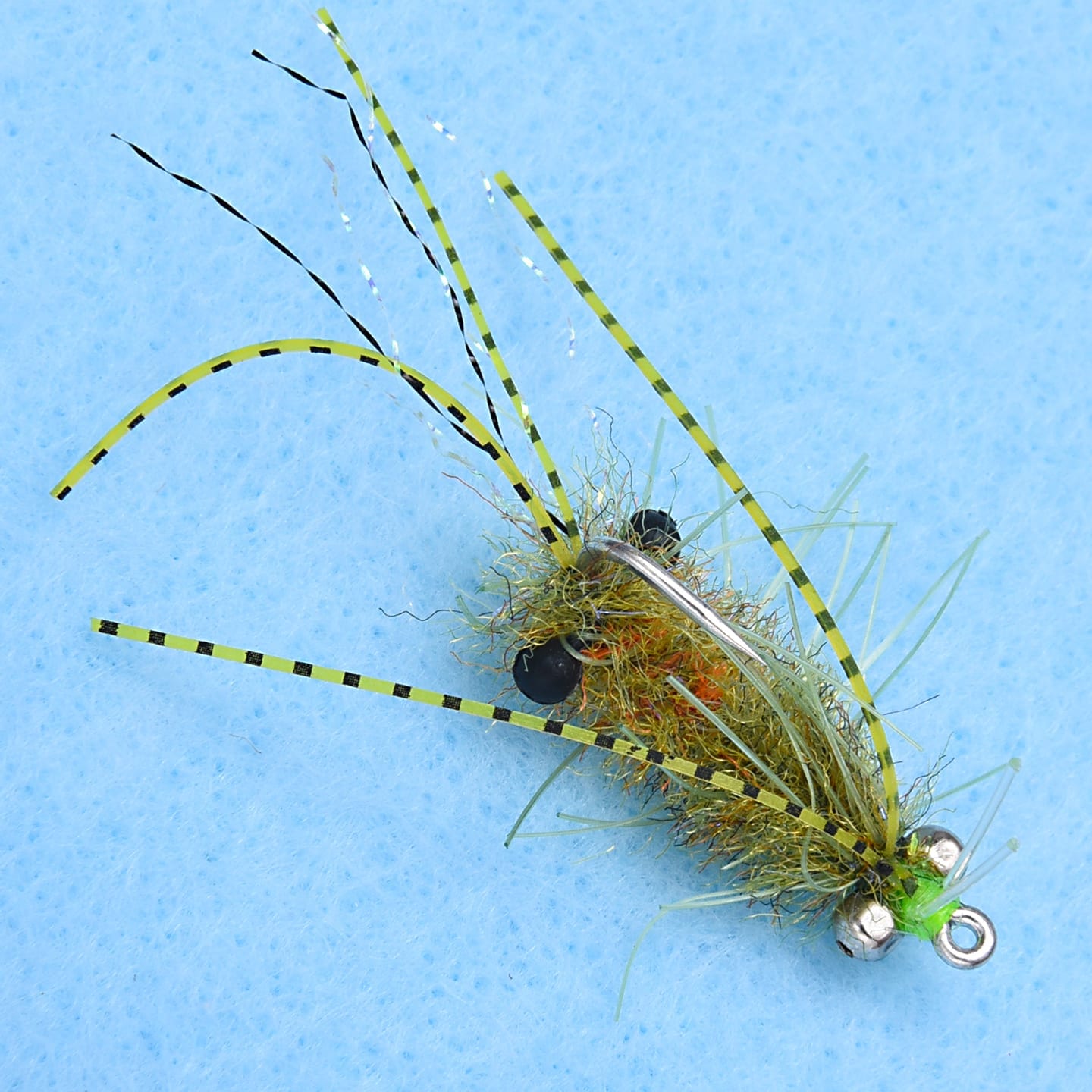 EP Ascension Bay Mantis BC