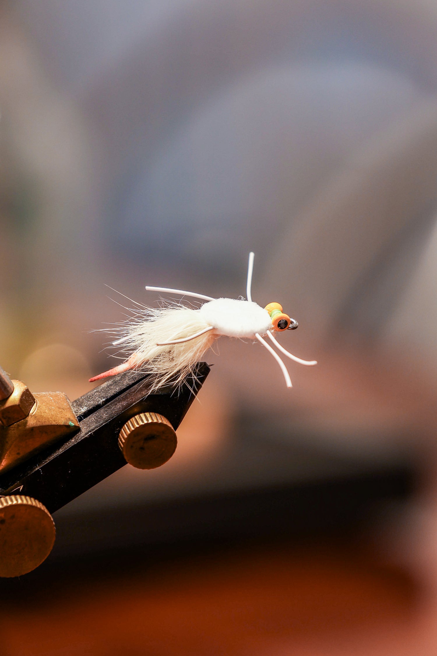 BT Strong Arm Rag Head Crab