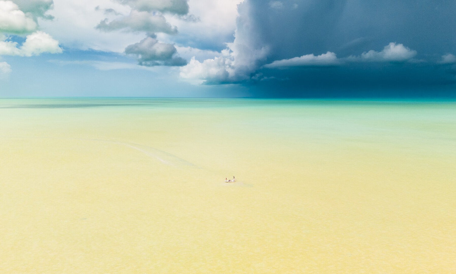 2024 F3T Screening & BBQ Event Ticket