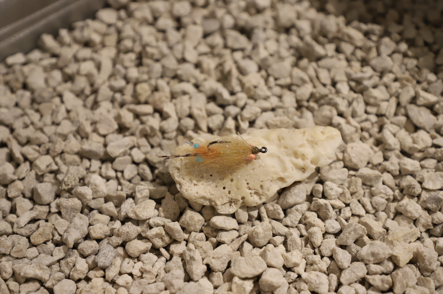 Baudoux Spawning Permit Shrimp