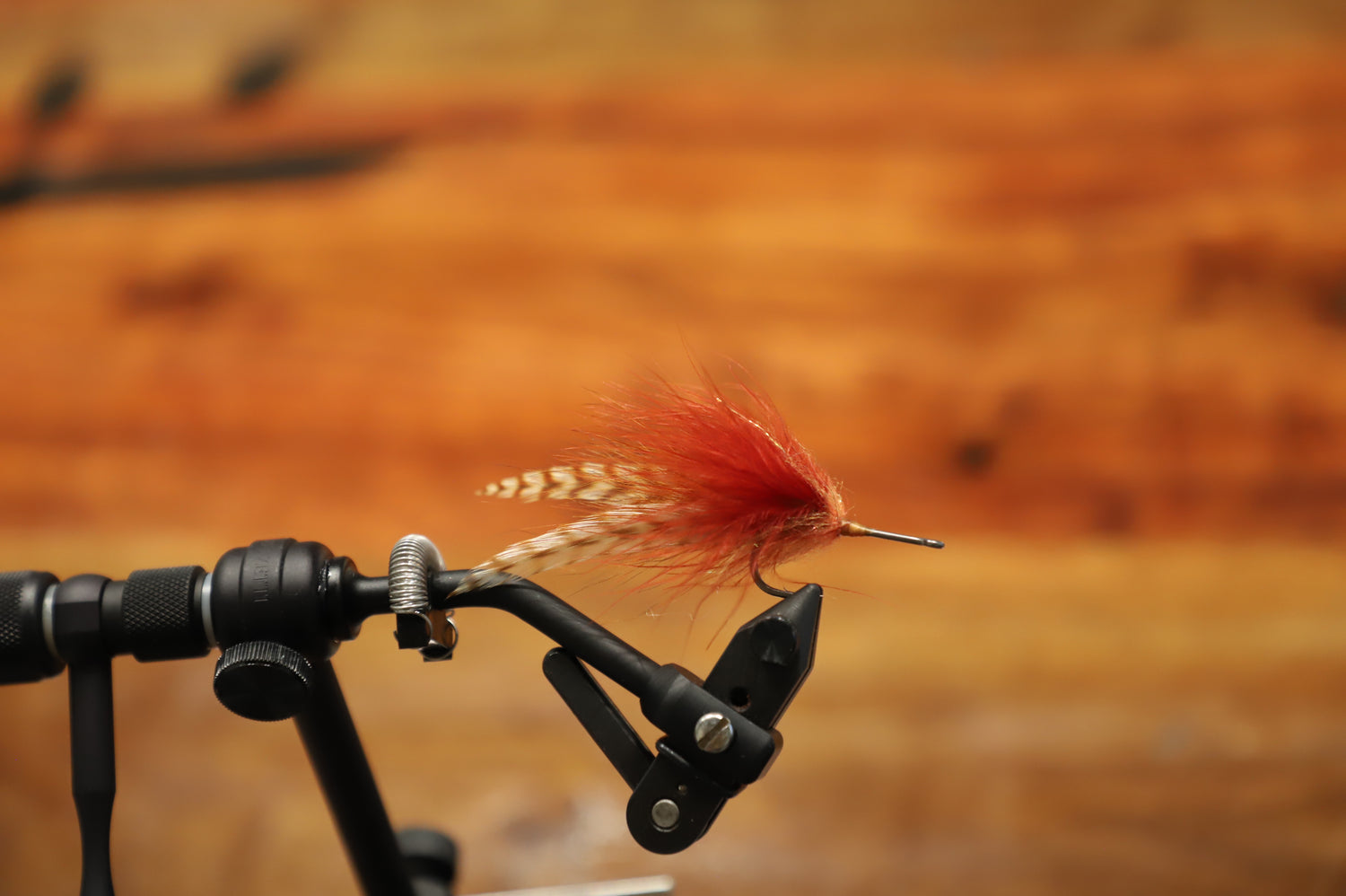 SK Laid Up Tarpon Bug