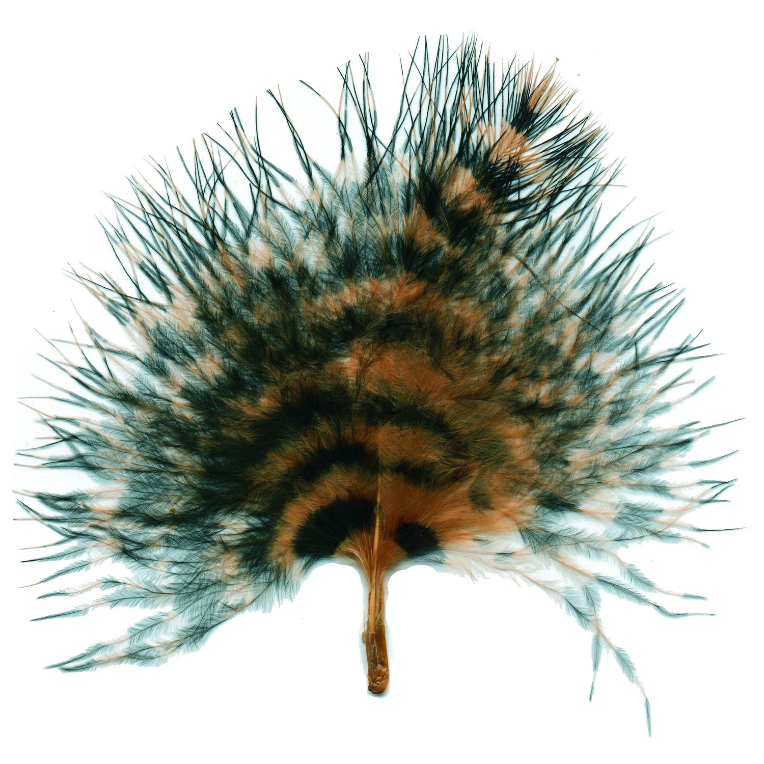 Marabou Brothers - Marabou Barred Loose