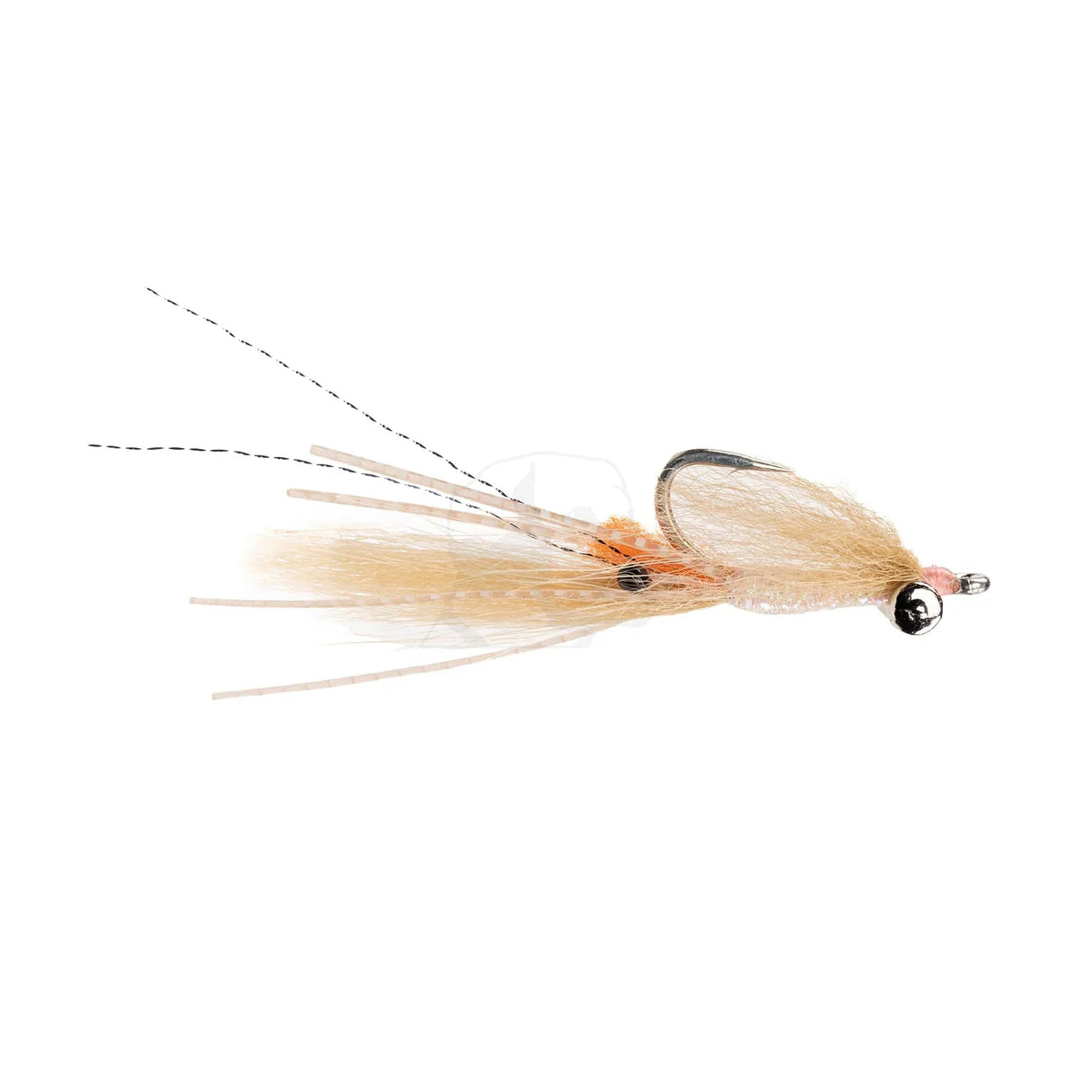 Umpqua Spawning Shrimp
