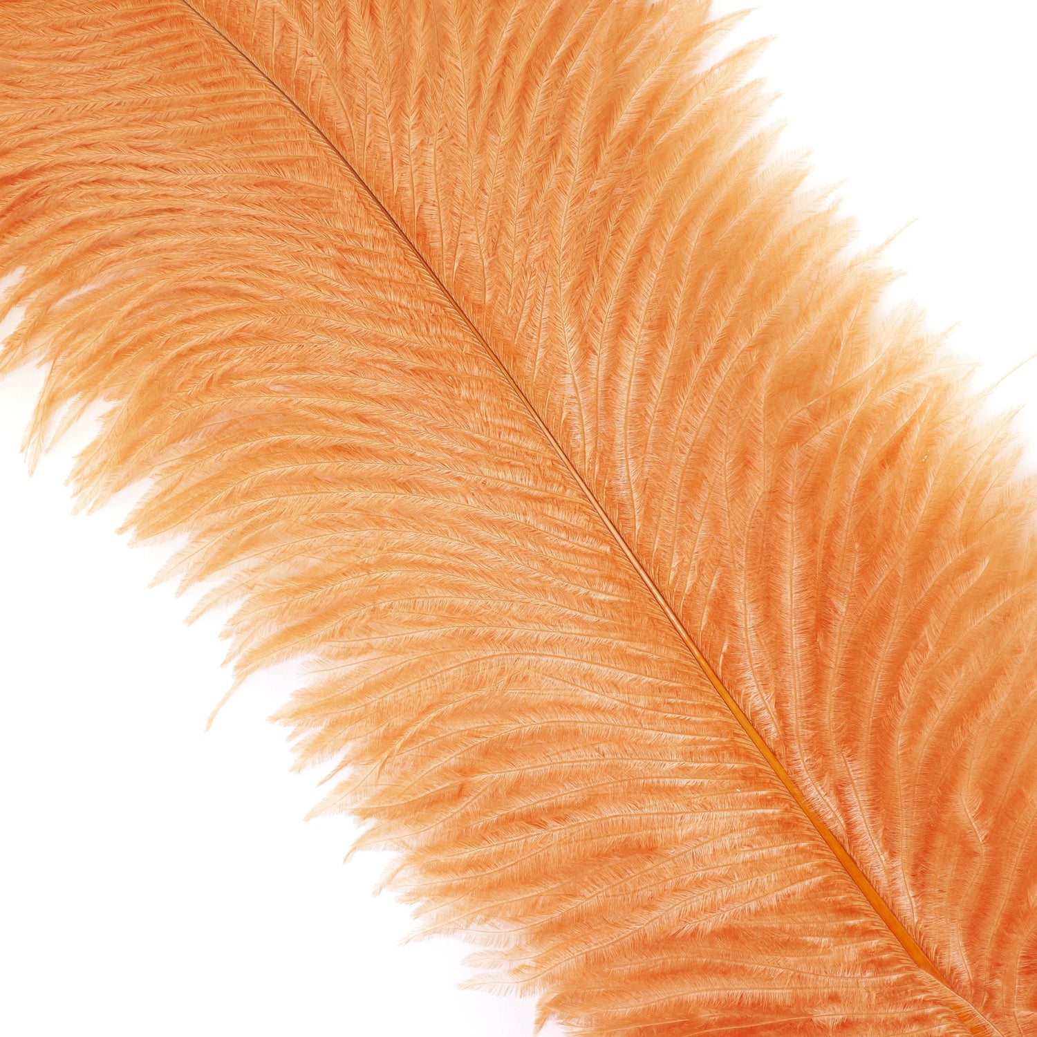 Marabou Brothers - Ostrich Drab Feather Large