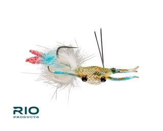 Rio Fiddler On The Reef