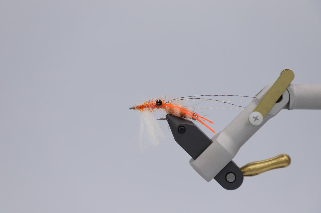 Guide Spawning Shrimp