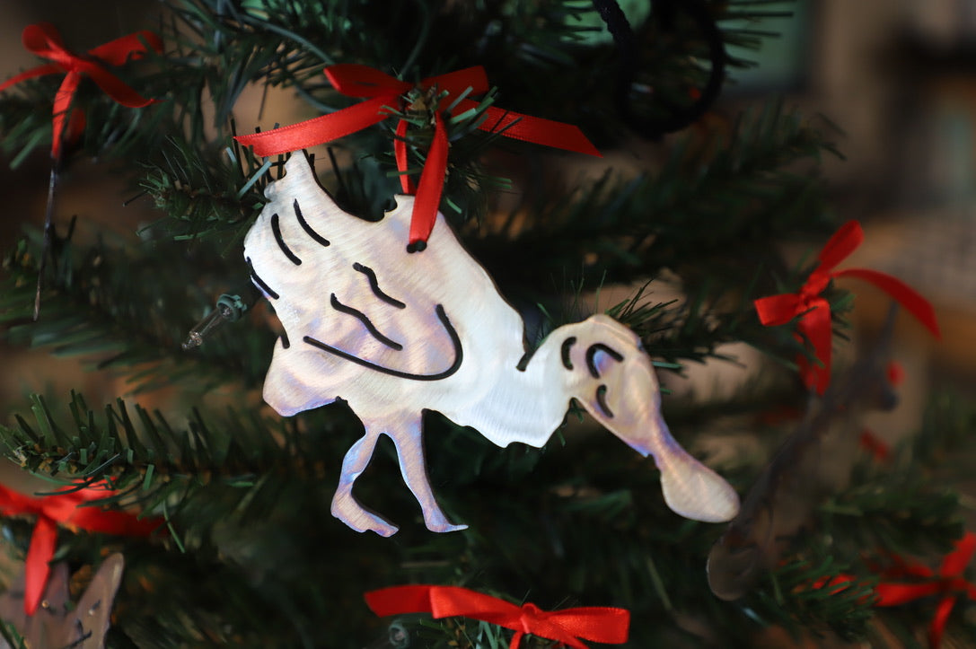 Ashley Weber Ornaments