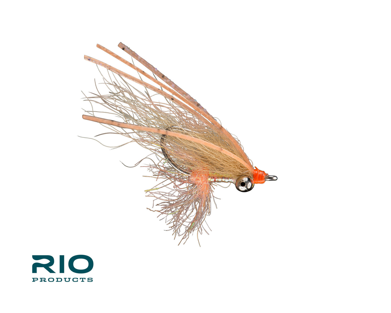 Rio Arctic Bone Spawning Shrimp