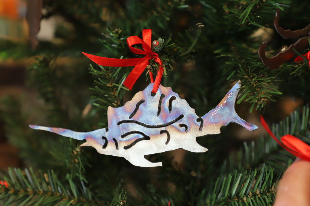 Ashley Weber Ornaments