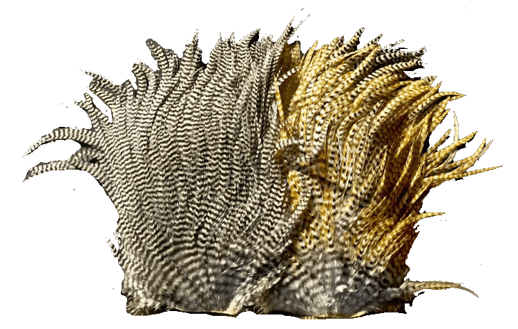 Cascade Crest Super Saddle