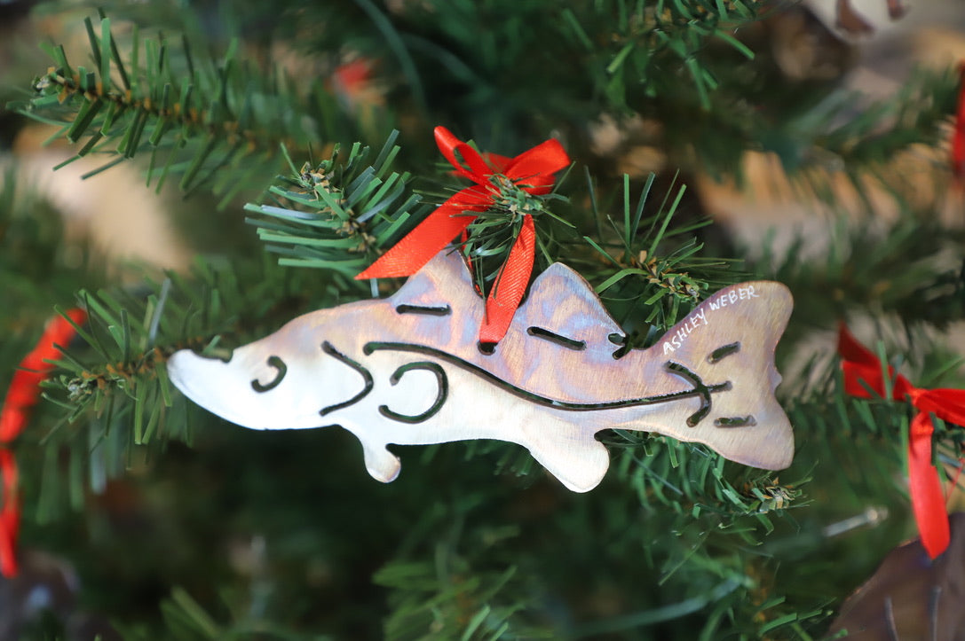 Ashley Weber Ornaments