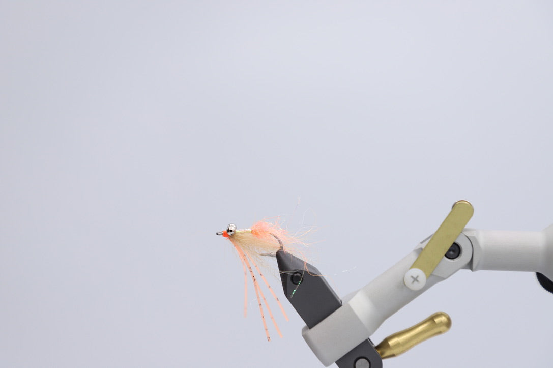 Rio Arctic Bone Spawning Shrimp