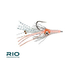 Rio Bunky Shrimp
