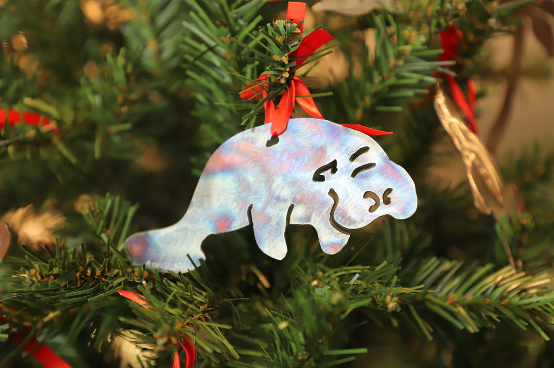 Ashley Weber Ornaments
