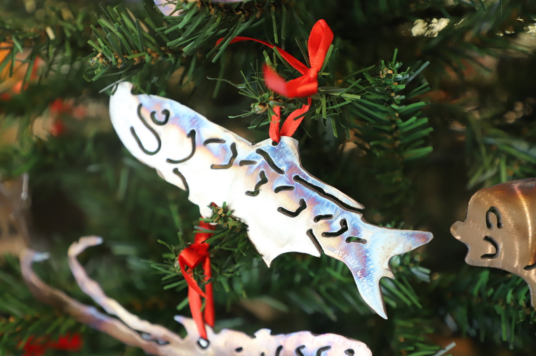 Ashley Weber Ornaments