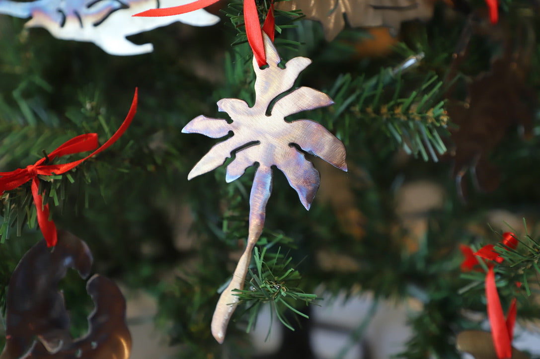 Ashley Weber Ornaments