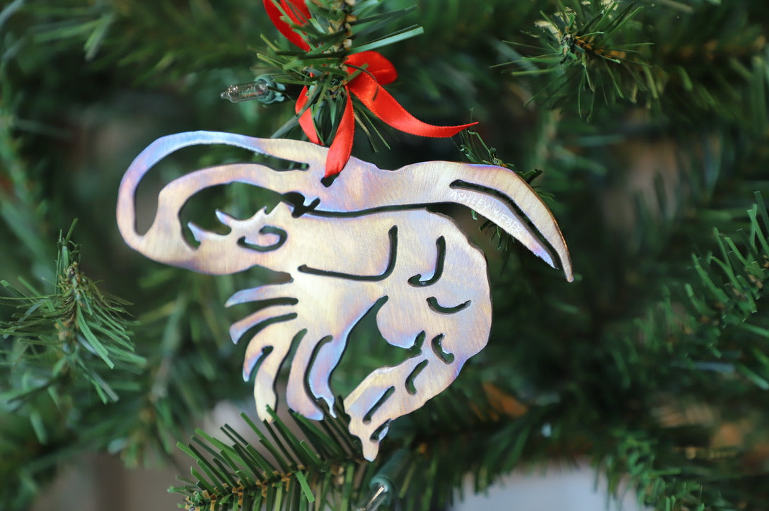 Ashley Weber Ornaments