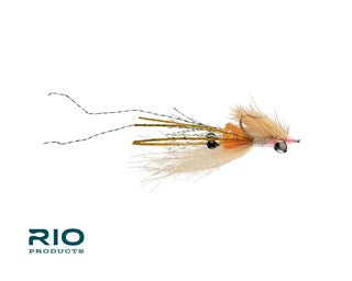 Rio Spawning Shrimp