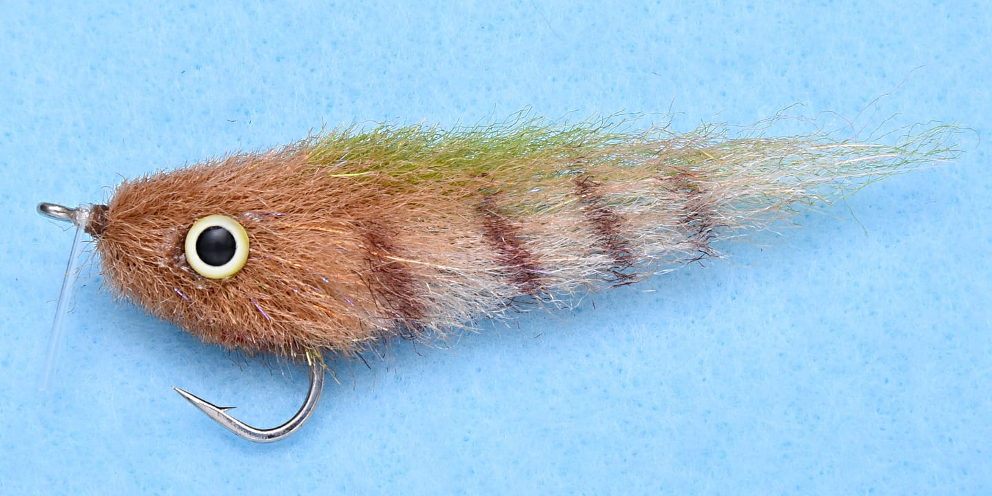 EP Everglades Special