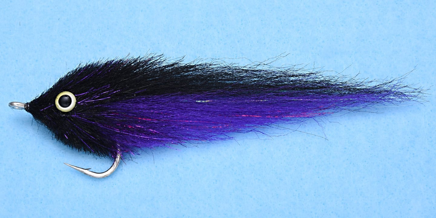EP GT's Baitfish