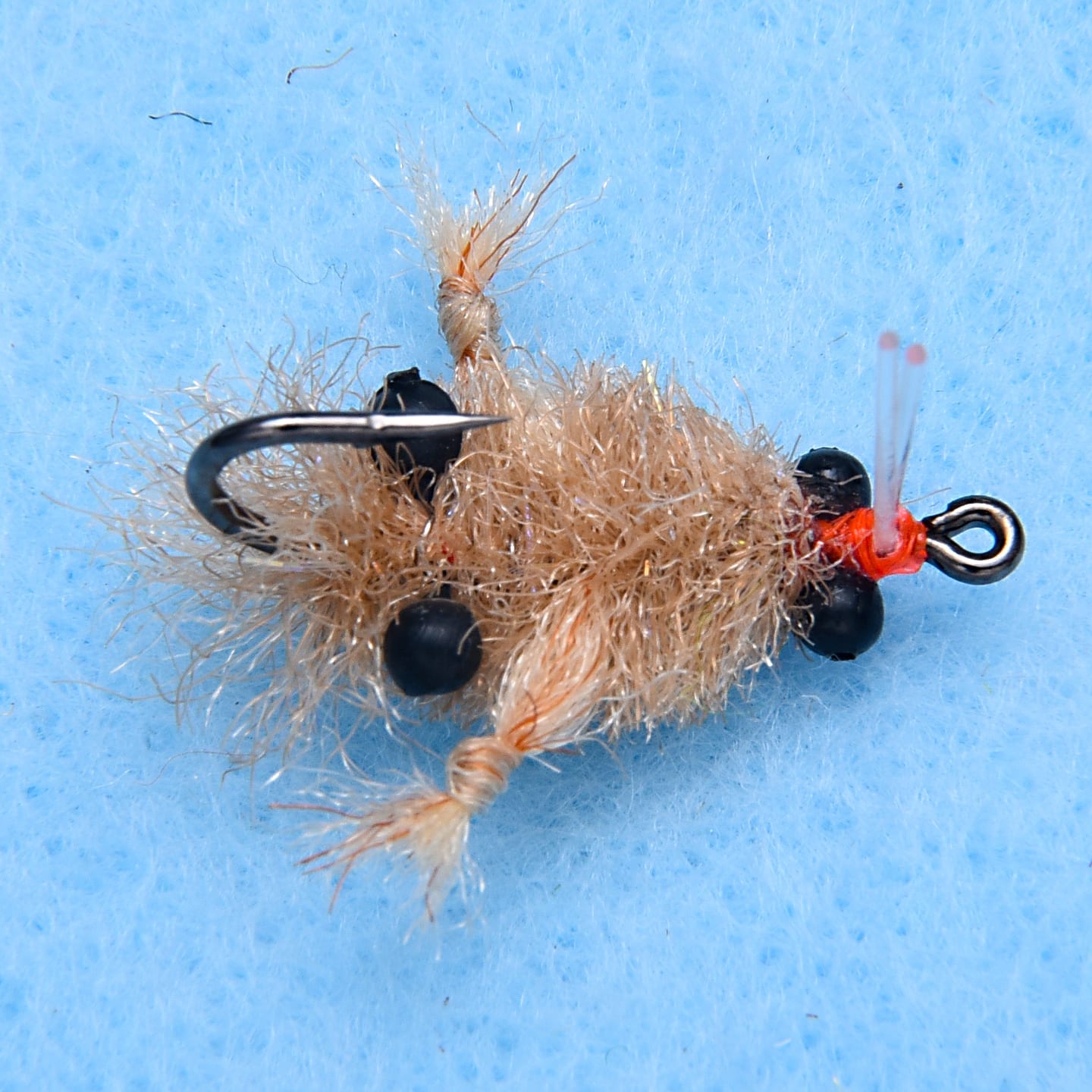 EP Turneffe Micro Crab