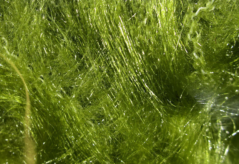 Wire-Free Synthetic Fox Brush