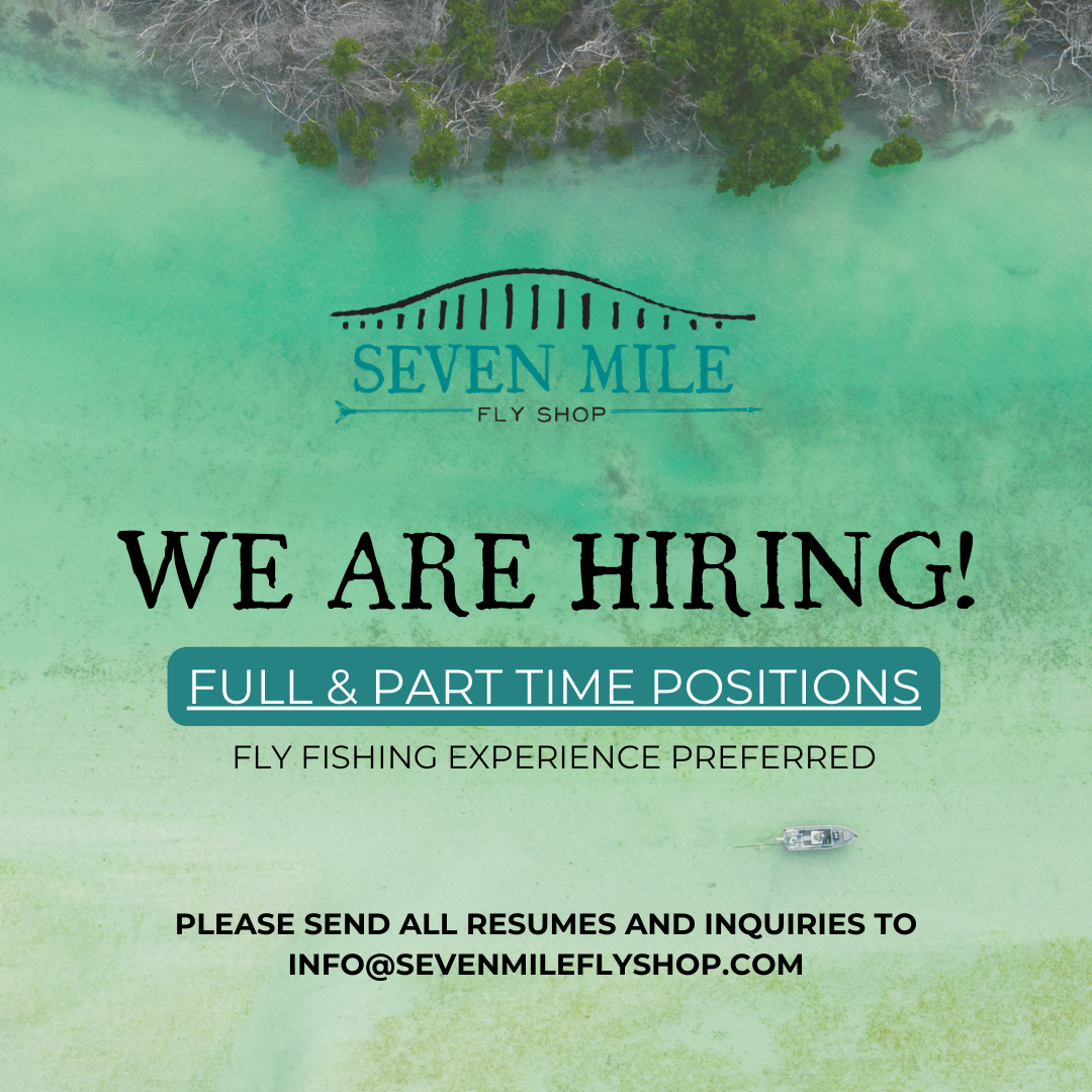 We're Looking for Our Next Team Member!