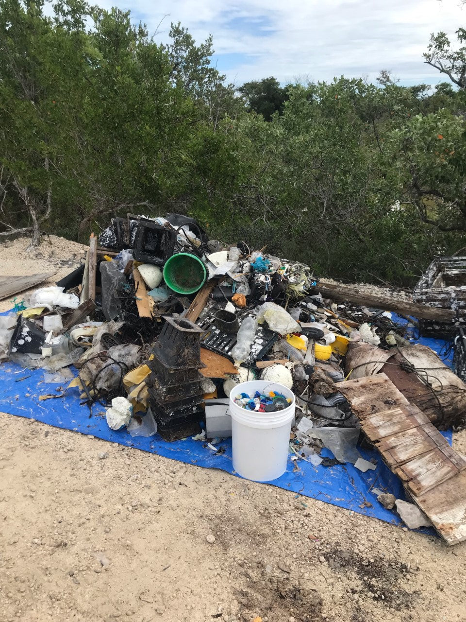 Cleaning The Beach