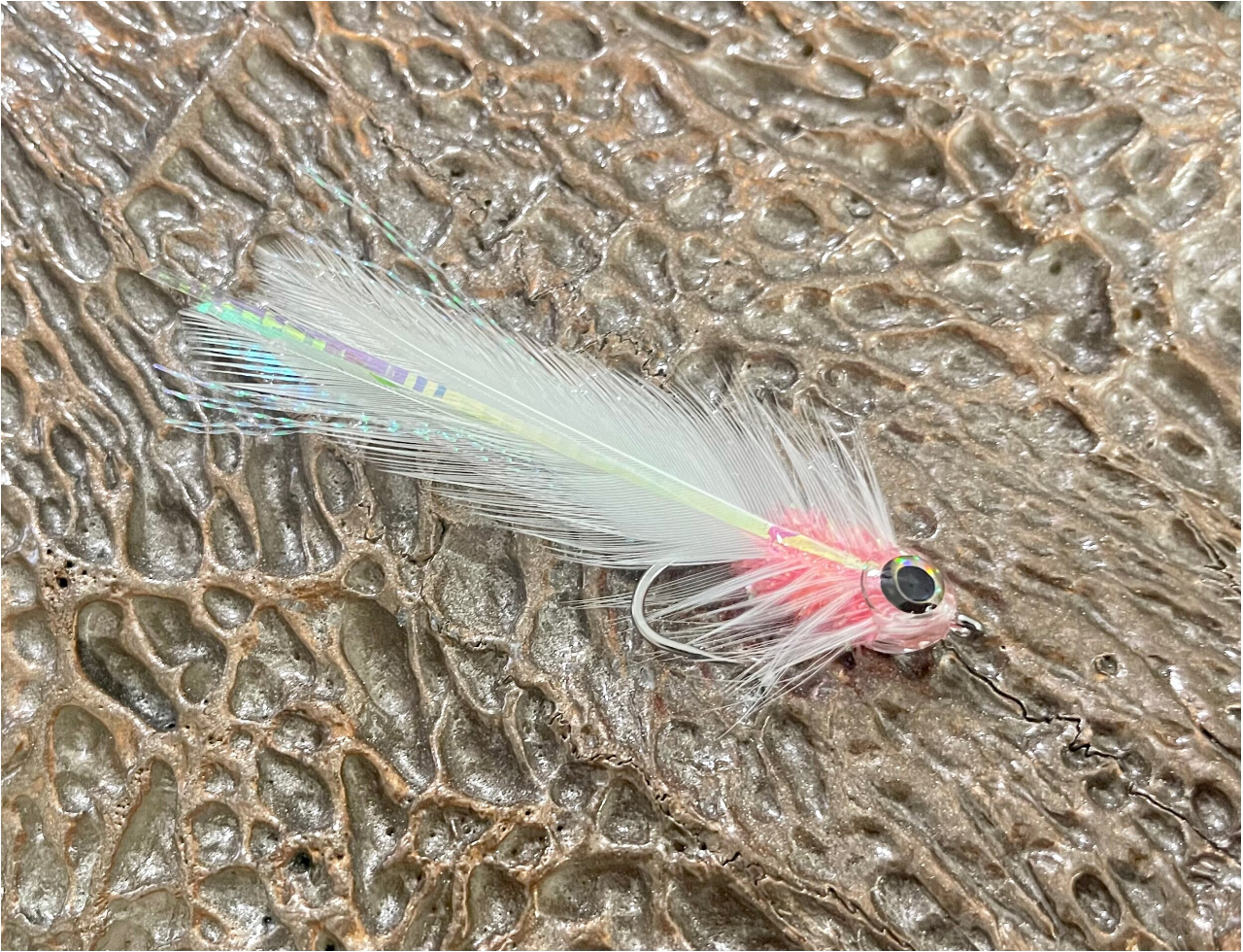 CW Albie Whore – Seven Mile Fly Shop