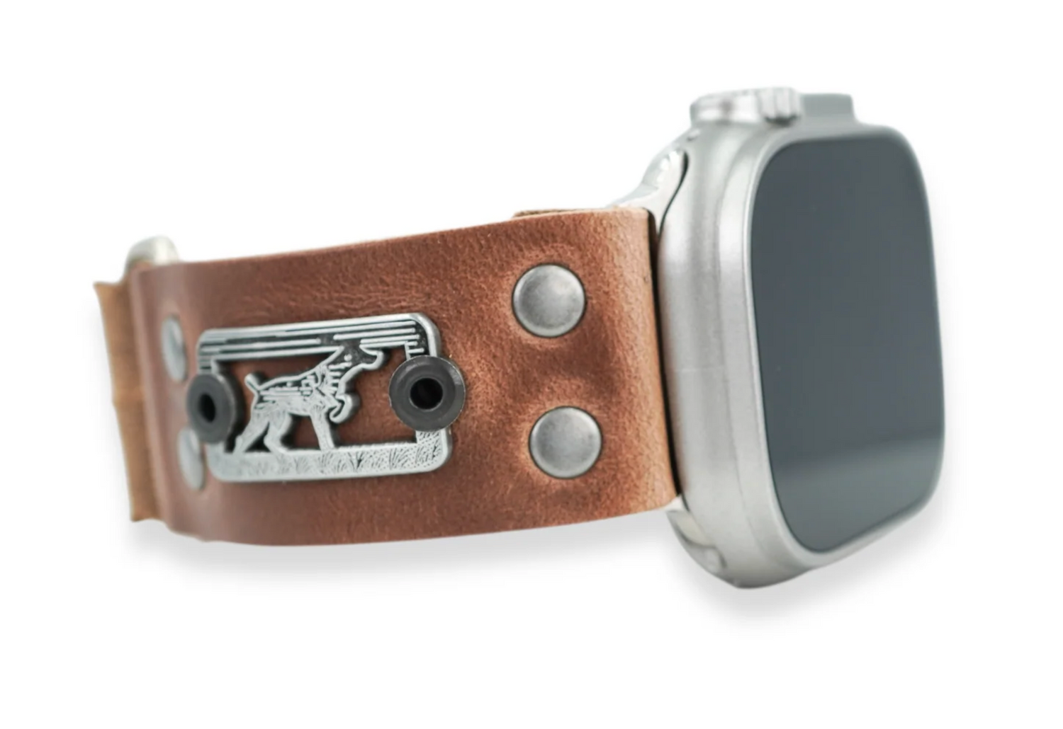 Sight Line Apple Watch Band