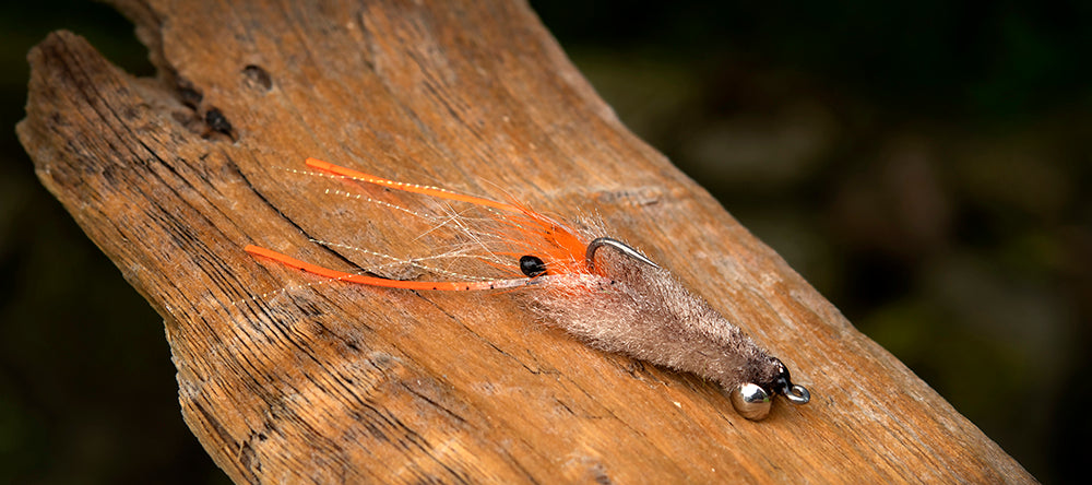 Ahrex SA250 Shrimp