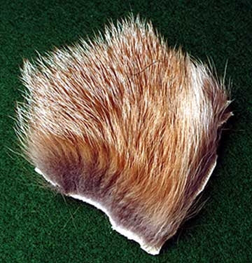 Cascade Crest Red Fox Fur